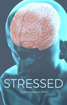 В состоянии стресса (2018)