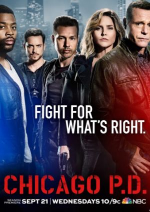 Полиция Чикаго (5 сезон)