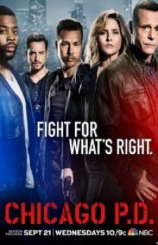 Полиция Чикаго (7 сезон)