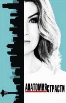 Анатомия страсти (17 сезон)