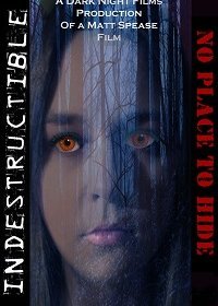 Неуязвимый: Негде спрятаться (2020)