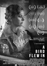 Залетная птица (2021)